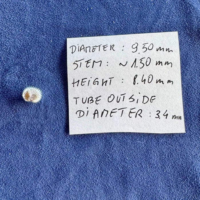 Koronka do zegarka kieszonkowego komplet 5 szt